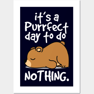 it's a perfect day to do nothing Posters and Art